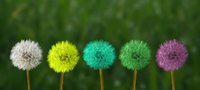 Change management